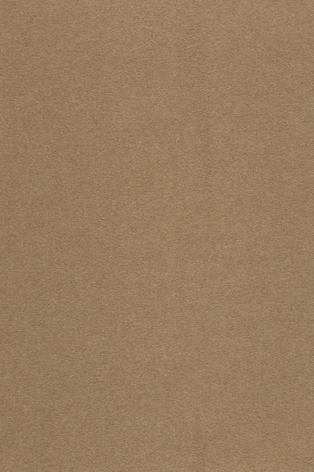 Fabric sample Divina 3 334 brown